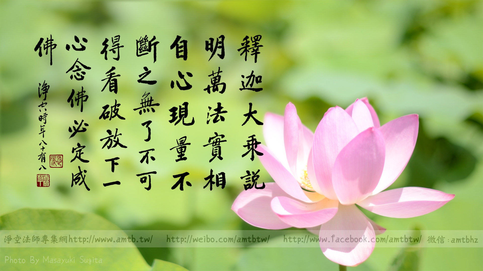 破障开慧：从《心经》看智慧与障碍的纠葛